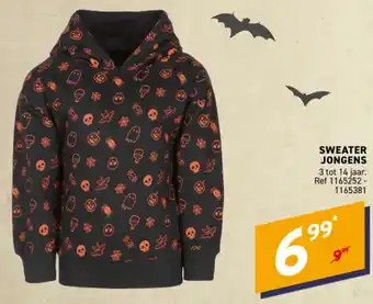 Sweater jongens