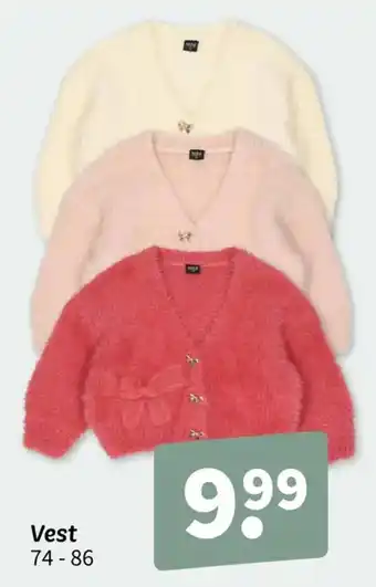 Vest