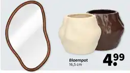 Wibra Bloempot aanbieding