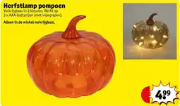 Kruidvat Herfstlamp pompoen aanbieding