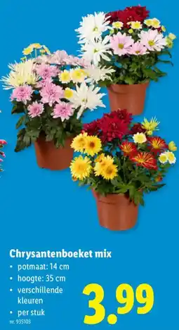 Lidl Chrysantenboeket mix aanbieding