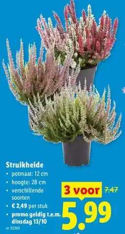 Lidl Struikheide aanbieding