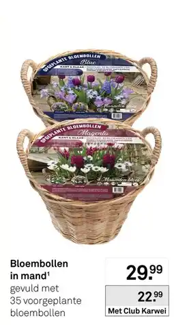 Karwei Bloembollen in mand aanbieding