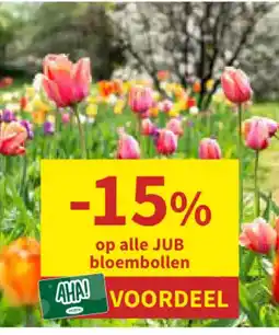Horta JUB bloembollen aanbieding