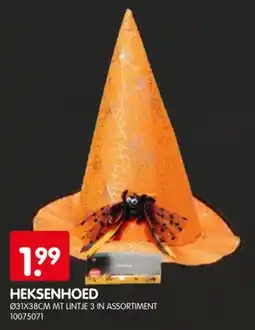 Yess heksenhoed aanbieding