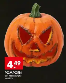 Yess Pompoen aanbieding