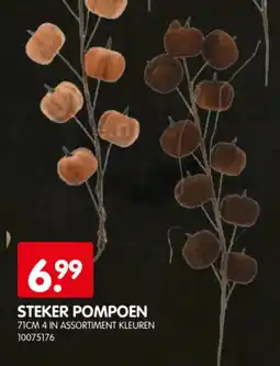 Yess Steker pompoen aanbieding