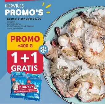 Scampi black tiger