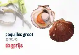 Horeca totaal Coquilles groot aanbieding