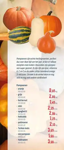 Horeca totaal Assortiment pompoenen aanbieding