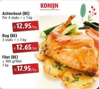 Konijn