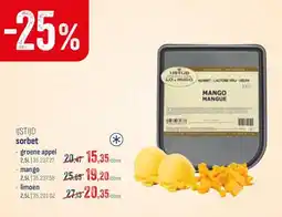 Horeca totaal sorbet mango aanbieding