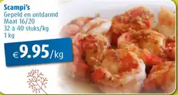 Aronde Scampi's aanbieding