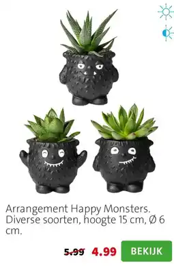 Intratuin Arrangement Happy Monsters aanbieding