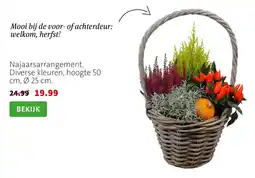 Intratuin Najaarsarrangement aanbieding