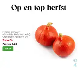 Intratuin Eetbare pompoen aanbieding