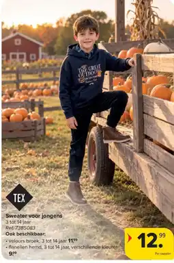 Carrefour Sweater voor jongens aanbieding