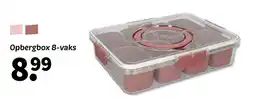 Wibra Opbergbox 8-vaks aanbieding
