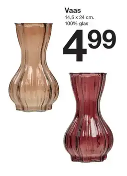 Zeeman Vaas aanbieding
