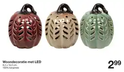 Zeeman Woondecoratie met LED aanbieding
