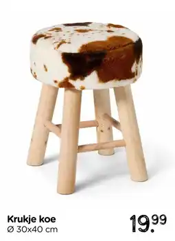 Xenos Krukje koe aanbieding