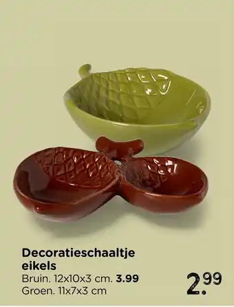 Xenos Decoratieschaaltje eikels aanbieding
