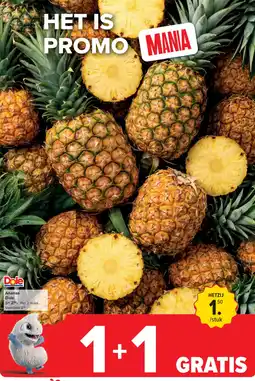 Carrefour Ananas aanbieding