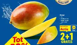 Lidl Mango aanbieding