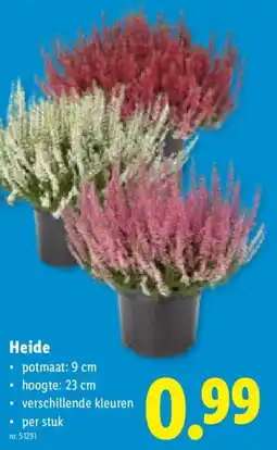 Lidl Heide aanbieding