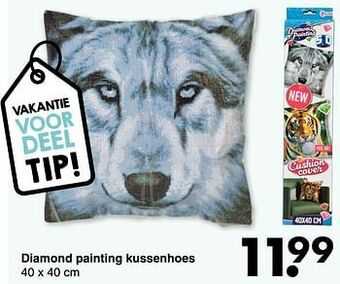 Wibra Diamond painting kussenhoes aanbieding