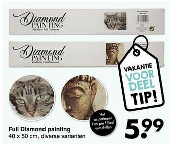 Wibra Full diamond painting aanbieding