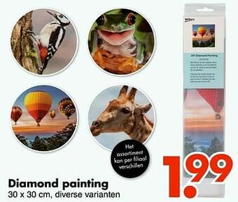 Wibra Diamond painting aanbieding