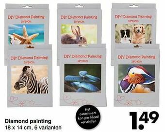 Wibra Diamond painting aanbieding