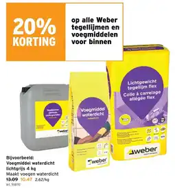 GAMMA Voegmiddel waterdicht aanbieding