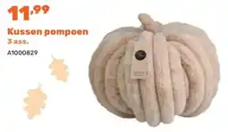 Happyland Kussen pompoen aanbieding