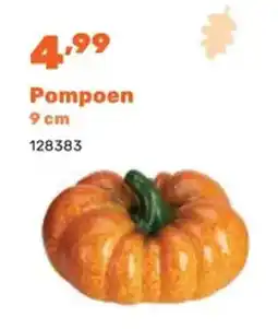 Happyland Pompoen aanbieding