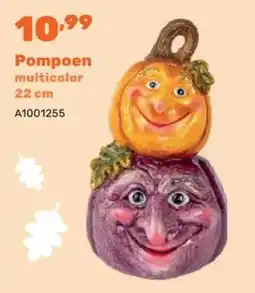 Happyland Pompoen aanbieding