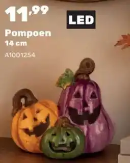 Happyland Pompoen aanbieding