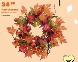 Happyland Herfstkrans aanbieding