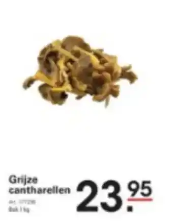 Grijze cantharellen