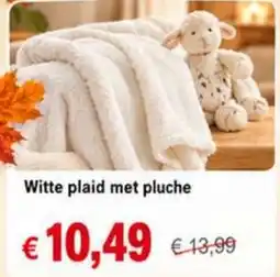 NH Market Witte plaid met pluche aanbieding