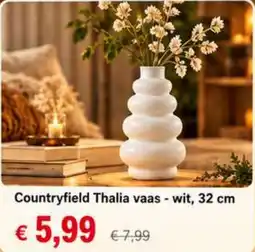 NH Market Countryfield Thalia vaas aanbieding
