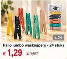 NH Market Palio jumbo wasknijpers aanbieding