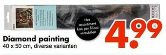 Wibra Diamond painting aanbieding