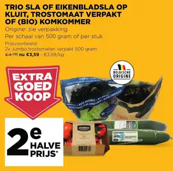 Trio Sla of Eikenbladsla op kluit, trostomaat verpakt of komkommer