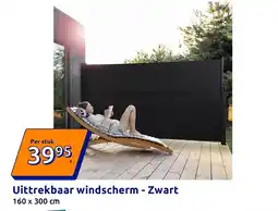 Action Uittrekbaar windscherm aanbieding