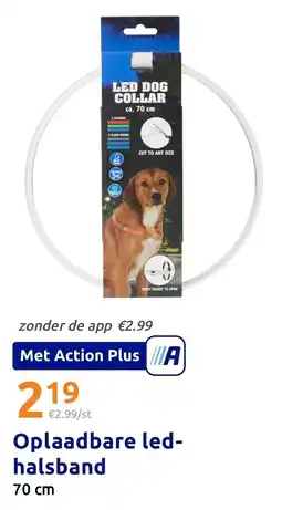 Action Oplaadbare led-halsband aanbieding