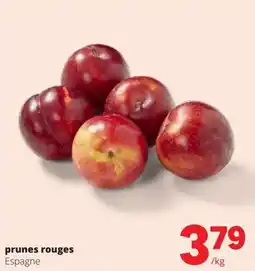Spar prunes rouges aanbieding