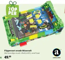 Multi bazar Flippercast arcade minecraft aanbieding