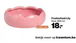 Kwantum Fruitschaal Lily aanbieding